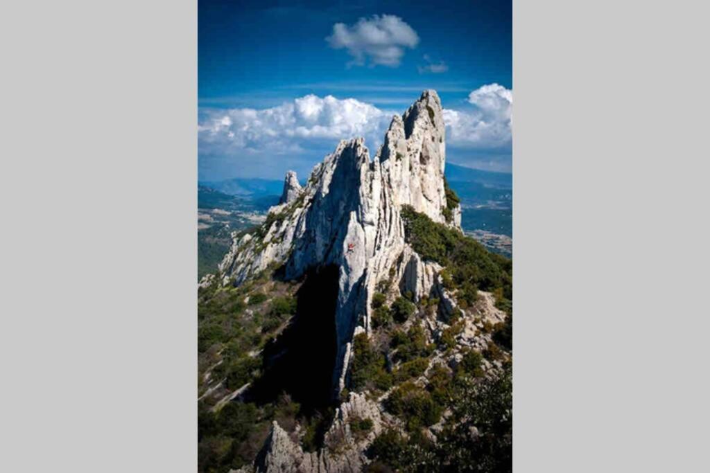 Independant Au Pied Des Dentelles De Montmirail Violes