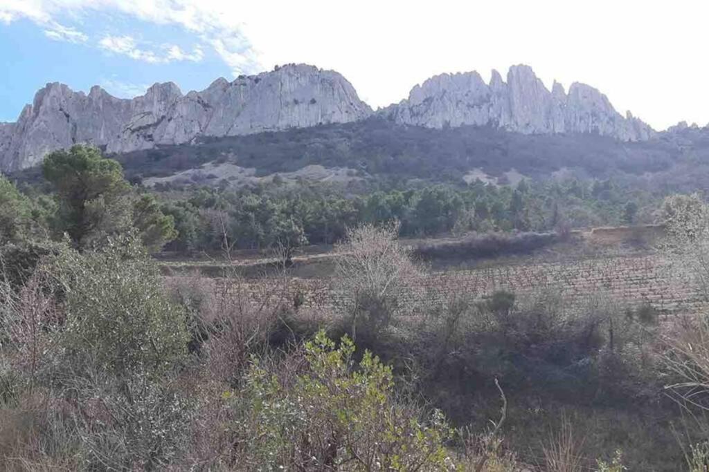Independant Au Pied Des Dentelles De Montmirail Holiday home Violes