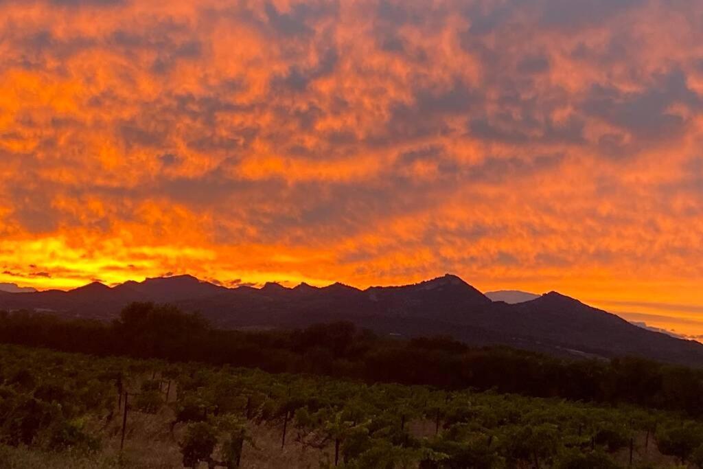 Independant Au Pied Des Dentelles De Montmirail Holiday home Violes